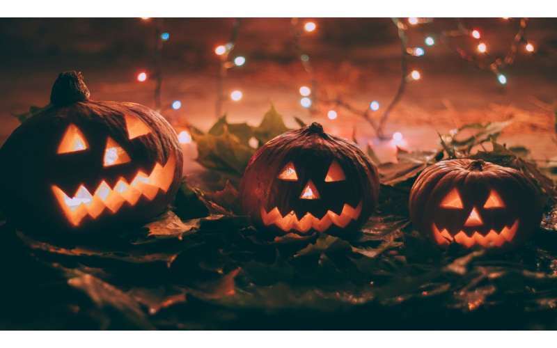 Monstrous Markdowns: Haunt These Halloween Bargains Before Theyre Gone!