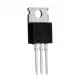 50Pcs IRF3205 IRF3205PBF MOSFET MOSFT 55V 98A 8mOhm 97.