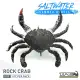 CHASEBAITS Summer Saltwater Bundle