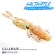 CHASEBAITS Summer Saltwater Bundle