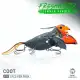 CHASEBAITS Summer Freshwater Bundle