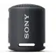 Sony SRS-XB13 Extra BASS Wireless Portable Compact Speaker IP67