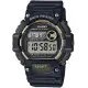 Casio Mud Resistant Stainless Steel Quartz Watch with Resin