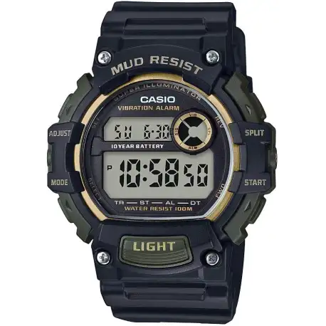 Casio Mud Resistant Stainless Steel Quartz Watch with Resin