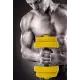 Nice C Adjustable Dumbbell Barbell Weight Pair, Free Weights