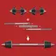 Pure Steel Adjustable Dumbbells Weights Barbell Free Weight 110