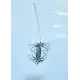 Handmade Spider hooks with wire leader