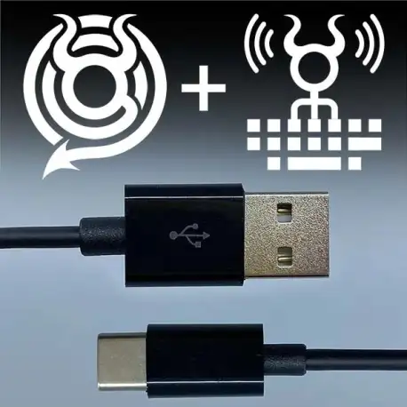 O.MG KEYLOGGER CABLE by Hak5, USB-C TO USB-A (BLACK) (1 METER)