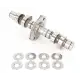 PERFORMANCE CAMSHAFT STAGE 2, 650 Interceptor + 650 Continental