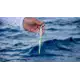 Mustad Moon Riser Vertical Jig