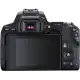 Canon EOS REBEL SL3 Digital SLR Camera with EF-S 18-55mm Lens