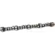 Camshaft ERR5250 for Range Rover 4.