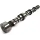 Camshaft ERR5250 for Range Rover 4.
