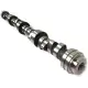 Camshaft ERR5250 for Range Rover 4.