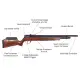 Benjamin Marauder.22 Crosman Air Rifle with 10 Round Mag and