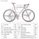 EURXC550 21 Speed Road Bike 700C Wheels Road Bicycle Dual Disc