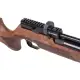 Benjamin Cayden.22 Hunting Rifle