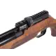 Benjamin Cayden.22 Hunting Rifle