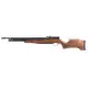 Benjamin Cayden.22 Hunting Rifle
