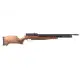 Benjamin Cayden.22 Hunting Rifle