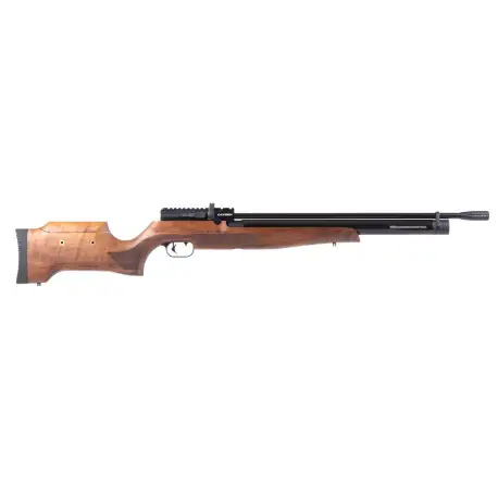 Benjamin Cayden.22 Hunting Rifle