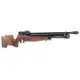 Benjamin Cayden.22 Hunting Rifle