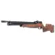 Benjamin Cayden.22 Hunting Rifle