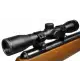 Crosman Vantage Air Rifle With Nitro Piston