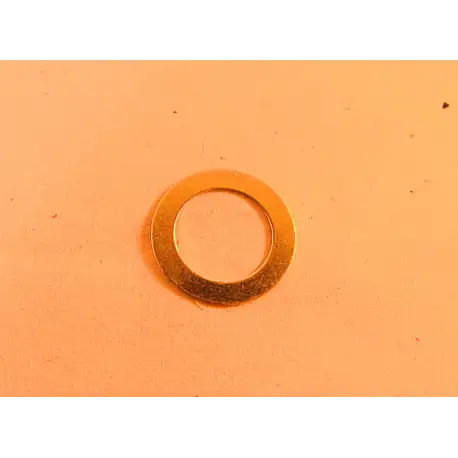 Oil Injection Pump Shim for Yamaha worm gear pumps