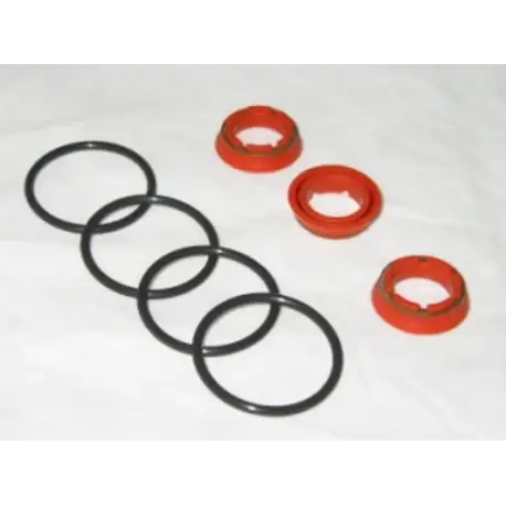 Yamaha RZ350, RD350 YPVS Power Valve Seal Kit