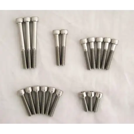 Yamaha R5, DS7, RD250, RD350 Allen Head Engine Side Cover Bolt
