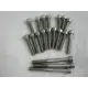 Yamaha RZ350, RD350 YPVS Allen Head Engine Side Cover Bolt Kit