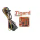 Tigard with Case