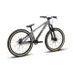 2025 Polygon Trid - Dirt Jump Mountain Bike