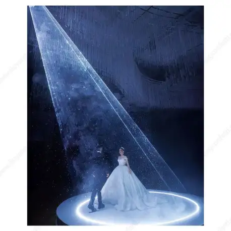 Modern Wedding Laser Light Bride Groom's Grand Entry First Dance Snow Focus Effect Ceremony Party Wedding Centerpiece Decoration