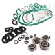 Lambretta LI, SX, TV Engine Oil seal, Bearing & Gasket set