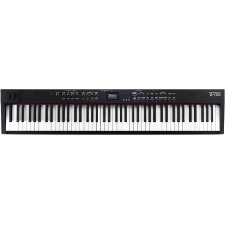 Roland Professional Stage Piano, 88-Key (RD-88)