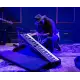 Roland Professional Stage Piano, 88-Key (RD-88)