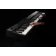 Roland Professional Stage Piano, 88-Key (RD-88)