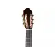 Lucero LC235SCE Acoustic-Electric Exotic Wood Classical Guitar