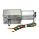 GM4632-370 DC 24V 80RPM High torque Turbo Encoder Motor Worm