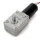 GW31ZY Worm Reducer Gear DC Motor High Torque Low Speed Gear