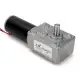 GW31ZY Worm Reducer Gear DC Motor High Torque Low Speed Gear