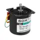 Machifit 60KTYZ 220V 10rpm Permanent Magnetic Electric