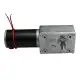 GW4058-31ZY Double Shaft DC Motor 12V/24V 110rpm/220rpm