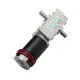 GW4058-31ZY Double Shaft DC Motor 12V/24V 110rpm/220rpm