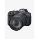 Canon EOS R6 (24-105mm F/4L Lens) 20.