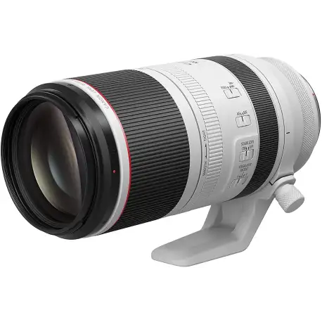 Canon RF 100-500mm F4.5-7.1 L IS USM Super-Telephoto Lens