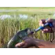 Cuda Fish Lip Gripper, 6", Stainless Steel, T-handle, Blue
