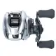 Daiwa 21 ZILLION SV TW 100HL G